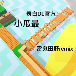 Cheetah Mobile - 雷鬼田野（小瓜最remix）