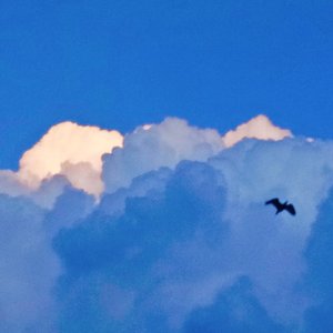 Best Kind Of Distance