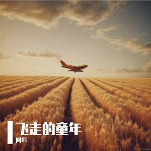 纸飞机与蒲公英