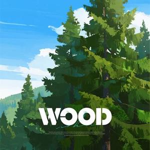 WOOD (树先生)