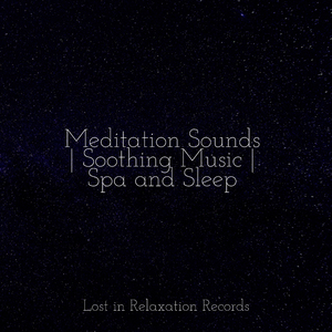 Fluttering Wings and Magical Things