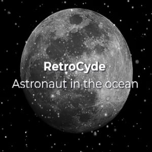 Astronaut in the ocean