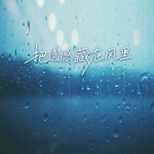 遗憾藏在风里
