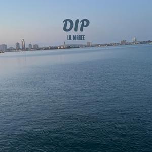 dip