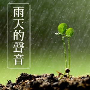 睡眠白噪音
