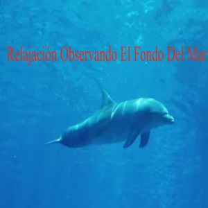 Mejora Nuestra Salud