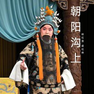 银环因母亲反对