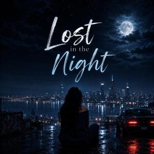 Lost in the Night