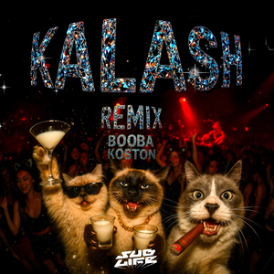 Kalash Remix