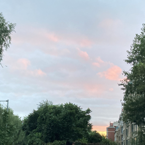 莫问（男声版）（翻自 羊小村村）