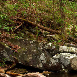 倘若你遇见了真正的爱