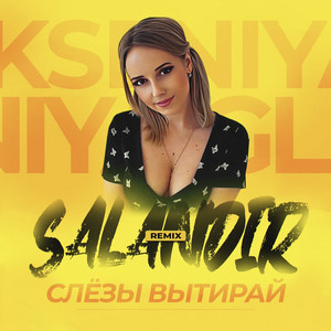 Слёзы вытирай (Salandir Remix)
