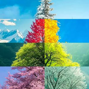 《云端梦境的轻语》