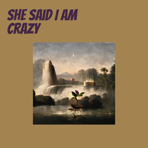 She Said I Am Crazy