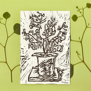 こっちへおいで