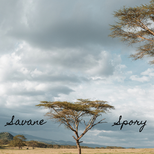 Savane