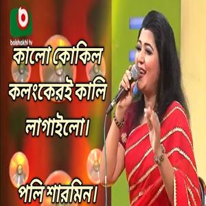 কালো কোকিল কলংকেরই কালি লাগাইল