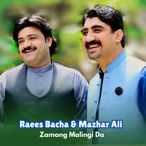 Zamong Malingi Da