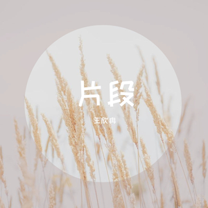 不再等候的姑娘