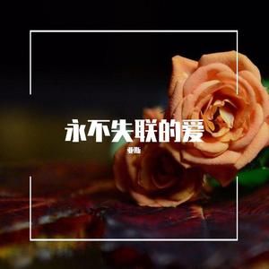 永不失联的爱