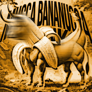 MUCCA BANANUCCA FUNK