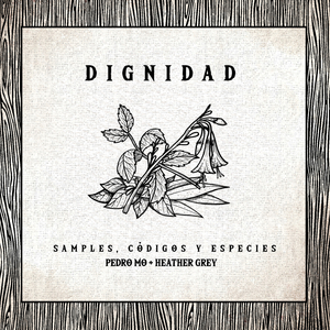 Dignidad