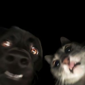 娜啦啦捺捺 (翻自 曲甲/Am73)