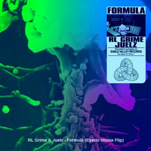 Formula (Eyezic House Flip)