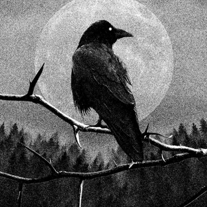 “铁锈黎明”底特律 type beat