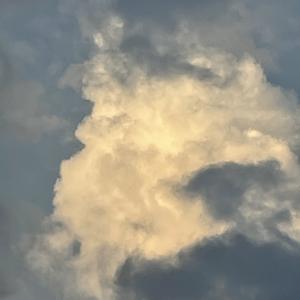 南迁（Prod Siren）