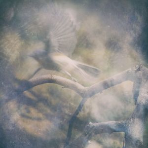 transformed by moonlight (work in progress)