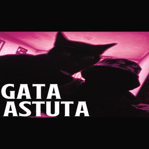 gata astuta