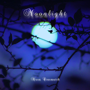 Moonlight