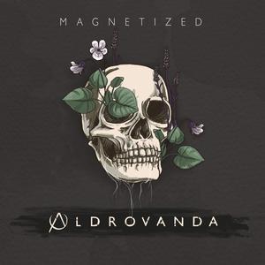 Magnetized