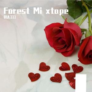 Forest Mi xtape（钢琴纯音乐）