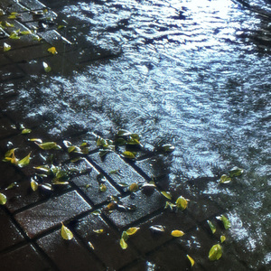 [FREE]"Rain Day" Sad Piano x Pop type beat