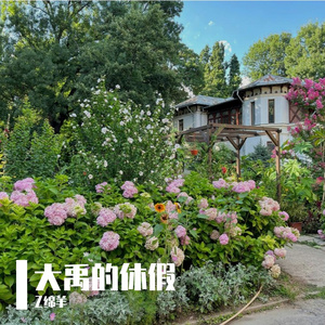 大禹的休假
