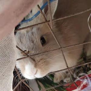 群星-真英雄（remix）