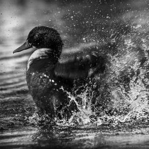 Horror Plot Twist at 3AM