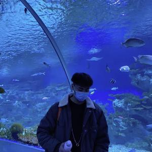 亦是此间少年