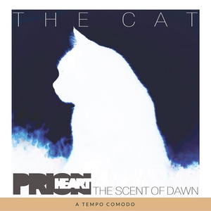 The Cat (The Scent Of Dawn) (Original Mix)