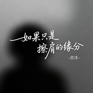 如果只是擦肩的缘分（抖音热播版）