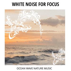 November Nights at Ocean Waves