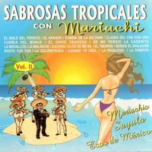 El Tiburón / Sergio el Bailador / Pasito Tun Tun / La Coloreteada / El Apagón