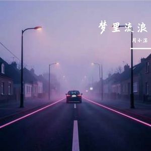 梦里流浪