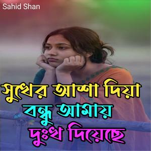 সুখের আশা দিয়া বন্ধু আমায় দুঃখ দিয়েছে