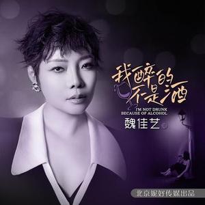 我醉的不是酒