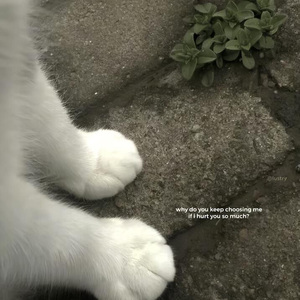 我賭你現在也在想我