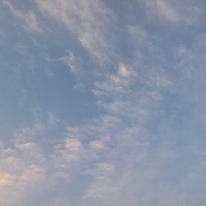 总在四下无人的夜里想起你