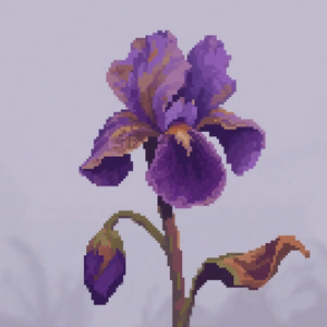 不幸与幸福的种子一起发芽